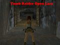 Παιχνίδι Tomb Raider: Ανοιχτή Λάρα σε απευθείας σύνδεση