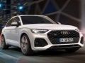 Παιχνίδι Audi SQ5 TDI Ολίσθηση σε απευθείας σύνδεση
