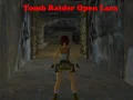 Παιχνίδι Tomb Raider: Ανοιχτή Λάρα σε απευθείας σύνδεση