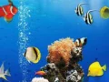 Παιχνίδι Θαλάσσιες Υποβρύχιες Διαφορές σε απευθείας σύνδεση Παιχνίδι Θαλάσσιες Υποβρύχιες Διαφορές σε απευθείας σύνδεση
