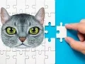 Παιχνίδι Πρόκληση Παζλ Αβισινίας σε απευθείας σύνδεση Παιχνίδι Πρόκληση Παζλ Αβισινίας σε απευθείας σύνδεση