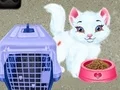 Παιχνίδι Φροντίδα Κατοικίδιων Baby Taylor σε απευθείας σύνδεση Παιχνίδι Φροντίδα Κατοικίδιων Baby Taylor σε απευθείας σύνδεση