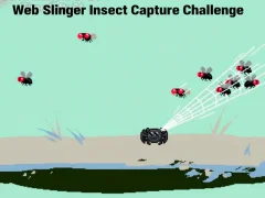 Παιχνίδι Web Slinger Insect Capture Challenge σε απευθείας σύνδεση