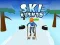 Παιχνίδι Ski Rush 3D σε απευθείας σύνδεση