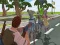 Παιχνίδι Καλύτερη Μάχη Κάλυψη Royale 2022 σε απευθείας σύνδεση