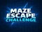 Παιχνίδι Maze Escape Challenge σε απευθείας σύνδεση