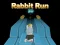 Παιχνίδι Rabbit Run 3D σε απευθείας σύνδεση