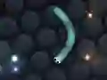 Παιχνίδι Slither.io σε απευθείας σύνδεση