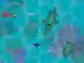 Παιχνίδι Sharkz.io σε απευθείας σύνδεση Παιχνίδι Sharkz.io σε απευθείας σύνδεση
