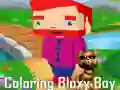 Παιχνίδι Χρωματισμός του Bloxy Boy σε απευθείας σύνδεση Παιχνίδι Χρωματισμός του Bloxy Boy σε απευθείας σύνδεση
