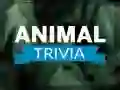Παιχνίδι Trivia για Ζώα σε απευθείας σύνδεση Παιχνίδι Trivia για Ζώα σε απευθείας σύνδεση