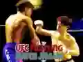 Παιχνίδι UFC Αγώνας Πάλης Παζλ σε απευθείας σύνδεση