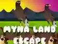 Παιχνίδι Διαφυγή από τη χώρα Myna σε απευθείας σύνδεση Παιχνίδι Διαφυγή από τη χώρα Myna σε απευθείας σύνδεση