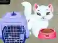 Παιχνίδι Φροντίδα Κατοικίδιων Baby Taylor σε απευθείας σύνδεση Παιχνίδι Φροντίδα Κατοικίδιων Baby Taylor σε απευθείας σύνδεση