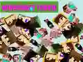 Παιχνίδι Minecraft Άγγιγμα σε απευθείας σύνδεση Παιχνίδι Minecraft Άγγιγμα σε απευθείας σύνδεση