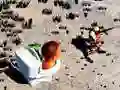 Παιχνίδι TopDown Σκοποβολή Skibidi στην Τουαλέτα σε απευθείας σύνδεση Παιχνίδι TopDown Σκοποβολή Skibidi στην Τουαλέτα σε απευθείας σύνδεση