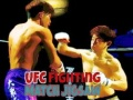 Παιχνίδι UFC Αγώνας Πάλης Παζλ σε απευθείας σύνδεση