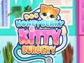 Παιχνίδι Δρ. HoneyBerry Χειρουργική Γατί σε απευθείας σύνδεση