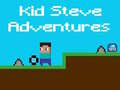 Παιχνίδι Οι Περιπέτειες του Kid Steve σε απευθείας σύνδεση